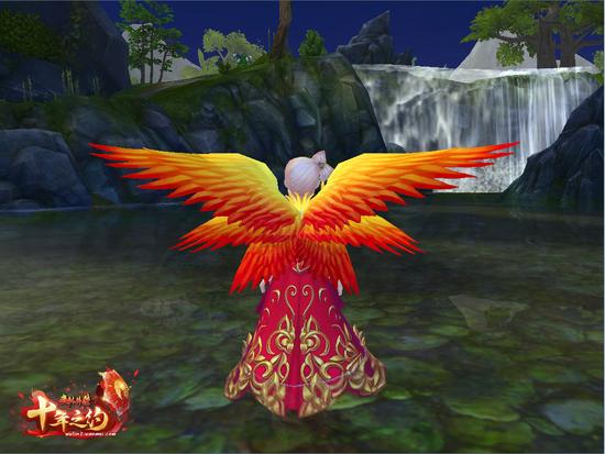 红金翅膀 仙美贵气