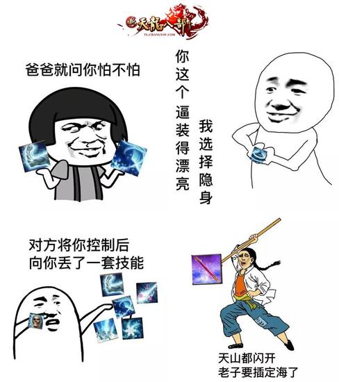 图1：天山高级黑