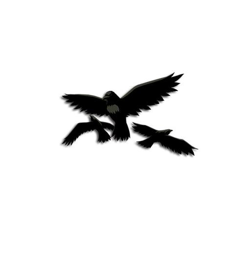 火影忍者手游新通灵兽乌鸦介绍乌鸦属性分析