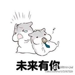 每日斗图秀洛奇英雄传永恒斗图表情包第十七期