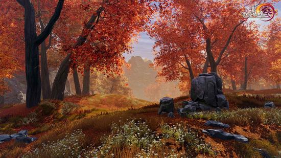 枫华谷华美场景