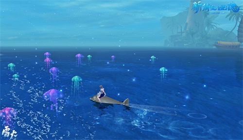 海豚背上的探险之旅