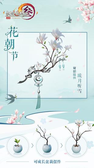 盆栽三个阶段展示