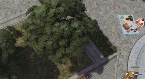 枝繁叶茂的树后正是潜伏的最佳地点