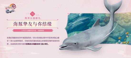 海豚伙伴