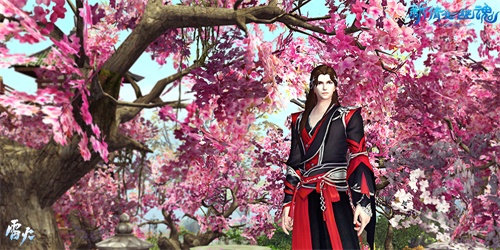 更加本土化的服装