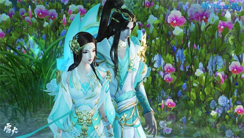 绚丽高贵、清高淡雅