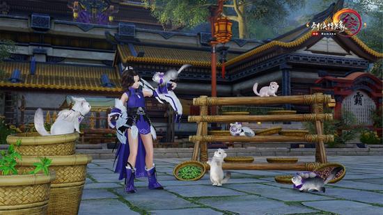 霸刀门派跟宠貂