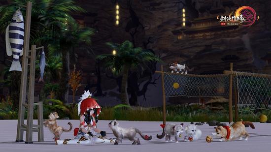 明教门派跟宠波斯猫