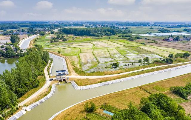 肥东引3000万方长江水给水稻“解渴”