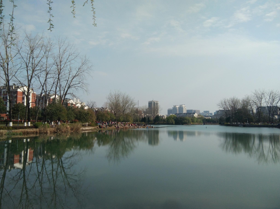 春日里的瑶海公园