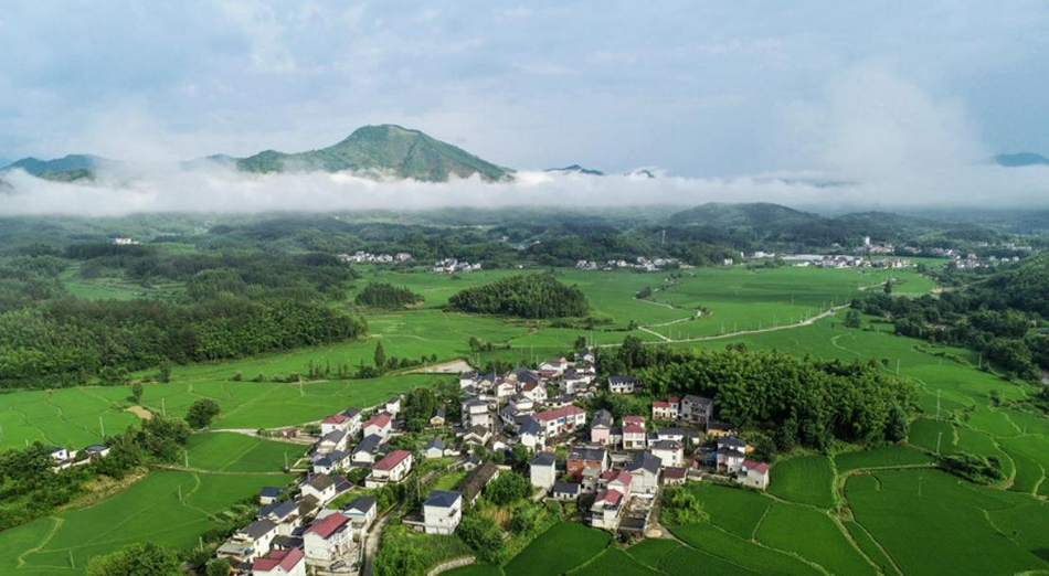 正在公示！福建拟向全国推荐这些乡村 - Vimarsana News