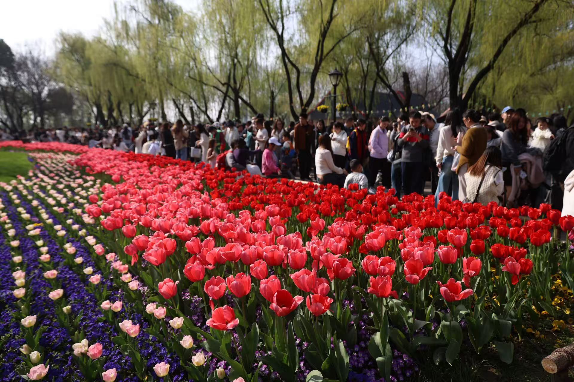 “硒品出山”展示展销专场在南京绿博园主会场火热开启