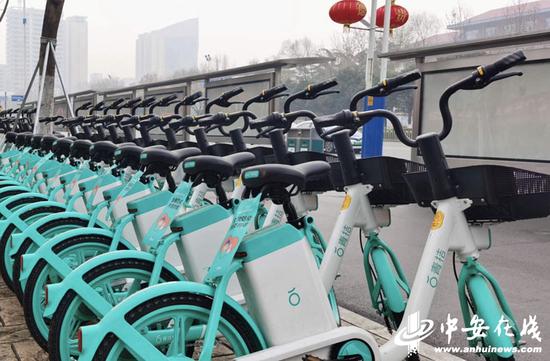 合肥电单车"街兔"变"青桔"