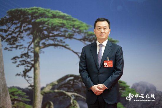 代表委员说|孔涛:加速融入长三角 推进首位产业布局_新浪安徽_新浪网