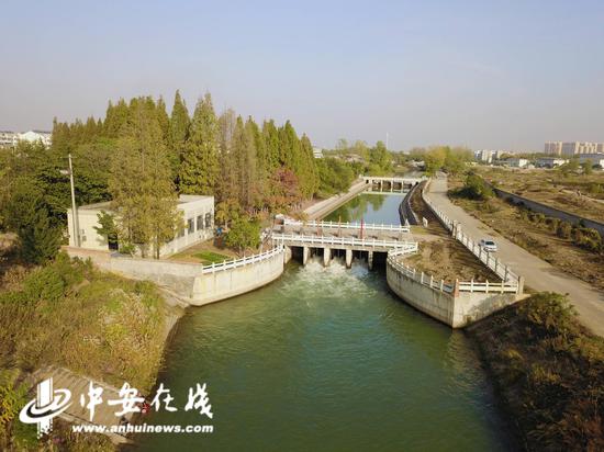 新闻频道 合肥 正文 合肥市滁河干渠管理分局双墩管理所所长陈庆斌