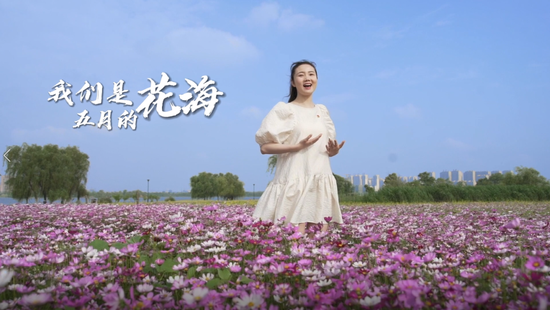 我们是五月的花海
