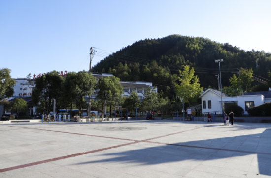向美而行 黄山区汤口镇破茧蝶变焕新颜_新浪安徽_新浪网