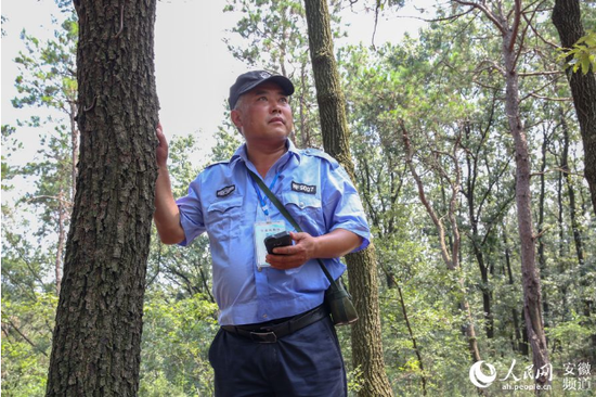 奔向小康的"滁州号":蔚然而深秀 乐在山水间