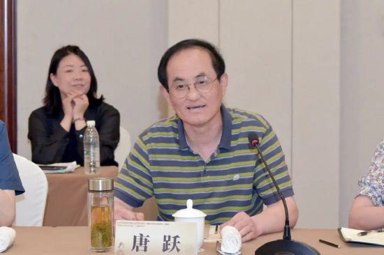 安徽大学兼职教授、安徽艺术学院特约研究员唐跃发言