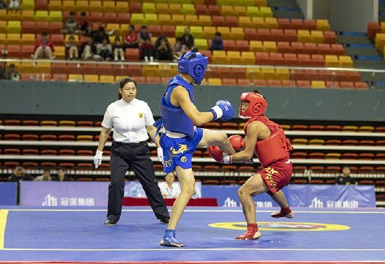 宿州市近300名队员在武术散打擂台上"武"出风采!_新浪安徽_新浪网