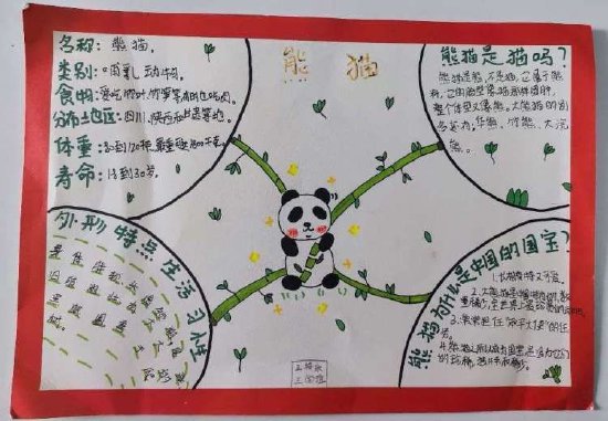 我为熊猫做名片亳州市第四小学三年级语文组特色作业展示活动