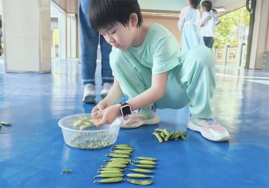 合肥市五一小学:劳动淬炼成长 实践创造幸福