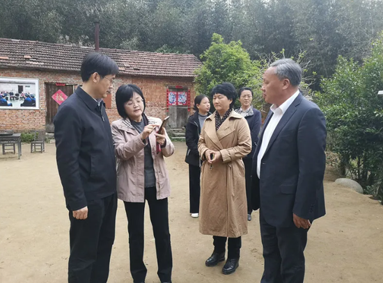 安徽省文旅厅厅长袁华来金寨调研乡村旅游扶贫工作