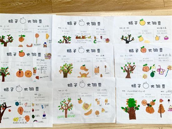 合肥市双幼悦城分园橘子的秘密