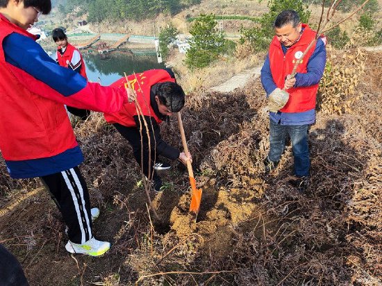 岳西县店前中心学校开展植树节系列活动
