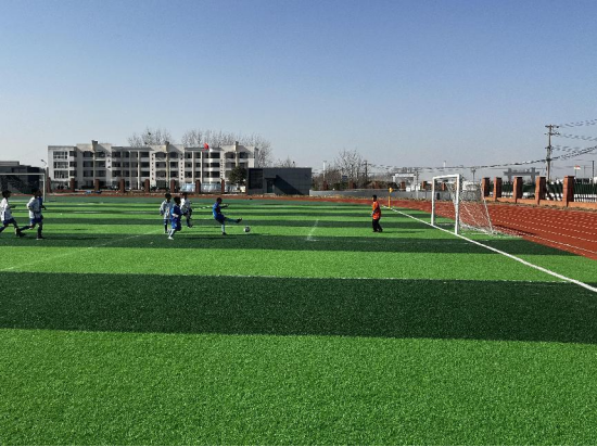 蚌埠市龙子湖实验学校在青少年校园足球三级三际三段联赛中取得优异