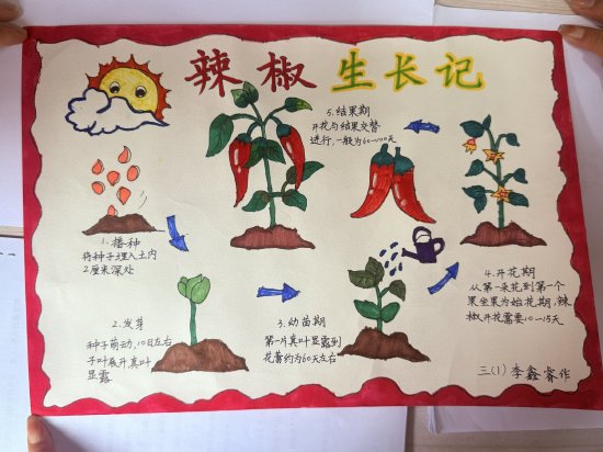 关于六年级土壤的组成实验(步骤)的信息 关于六年级土壤的组成实验(步骤)的信息