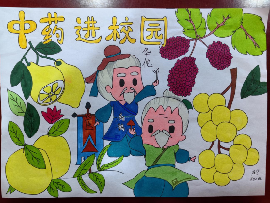 亳州学院实验小学绘中药风彩显文化魅力