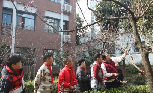 春日剪枝忙校园添新绿合肥市锦城小学红领巾少先大队劳动实践活动