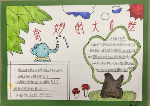 大自然里的问号——亳州市第四小学二年级语文组特色作业