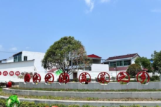 全椒县石沛镇:科技特派员助力乡村振兴