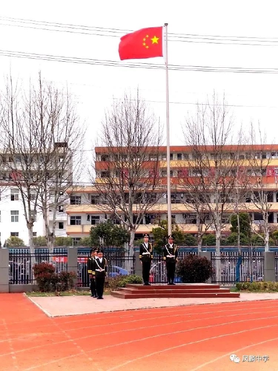 青春不褪色 运动正当时——长丰县凤麟中学举办第31届田径运动会_新浪