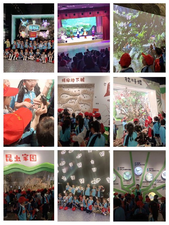 有科学征程,科技强国,减碳之路,健康之本,童趣乐园,天地探秘,量子探微