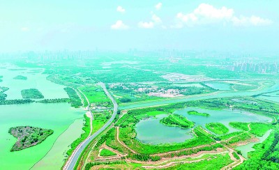 安徽省合肥市湖滨国家湿地公园 解琛摄/光明图片