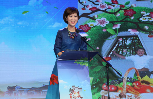 阿伟,金星,冯峰,大胡等安徽广播电视台的五位著名主持人一一登台