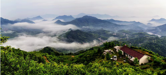 青阳县杜村乡茶产业赋能乡村振兴