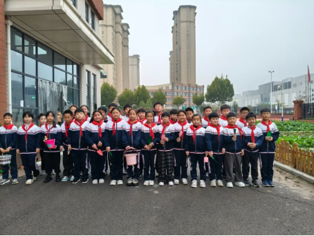 亳州市第四小学:与田有约之刨红薯