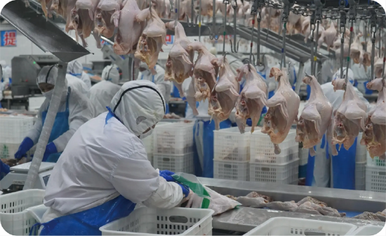（康味然原料加工现场）