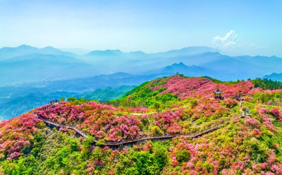 赏花香炉关-郭晓虎