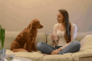 跟朋友说话毫无顾忌的星座