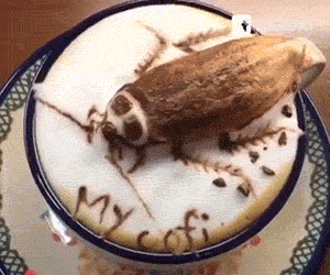 1/ 12白羊座:这大蟑螂……呕……白羊座你就搞吧!我看你啥时候栽!