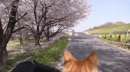 旅游带上这几个星座超省心