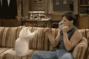 杀熟啦！12星座吃窝边草的小手段