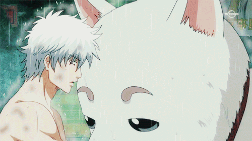 沙雕在一起了！啥星座是你的完美搭档