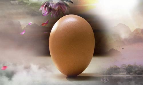 竖立鸡蛋